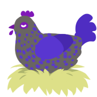 A grey and indigo chicken with a speckle pattern