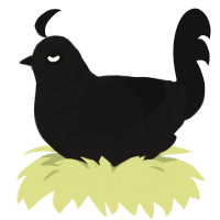 OOOOOOOOOO, a sable and black chicken with a half-bar pattern