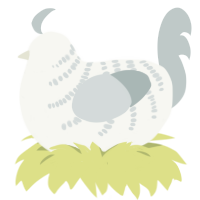 Mist, a white and silver chicken with a half-bar pattern