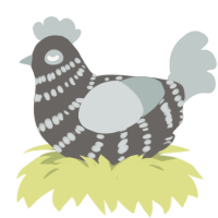 A grey and silver chicken with a bar pattern