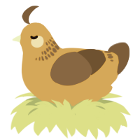 A ochre and bark chicken with a neck-band pattern
