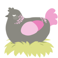 Guy Who Explosion, a ash and pink chicken with a neck-band pattern