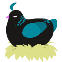 A sable and sea chicken with a neck-band pattern