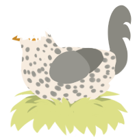 A cream and ash chicken with a speckle pattern