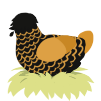 autumn breeze, a black and orange chicken with a lace pattern