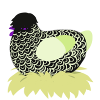fancy cheesecake, a black and apple chicken with a double-lace pattern