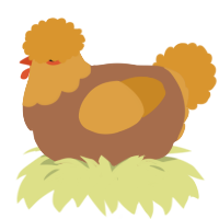 A brown and orange chicken with a head pattern