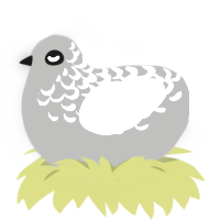A ash and white chicken with a half-lace pattern