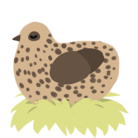 Cinnamon Bagel, a beige and bark chicken with a speckle pattern