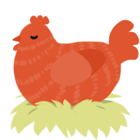 Vermilion, a vermilion chicken with a bar pattern
