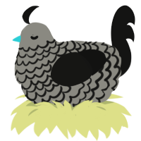 A ash and black chicken with a lace pattern