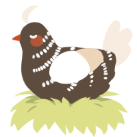 A bark and cream chicken with a half-bar pattern