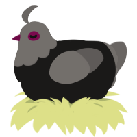 A sable and grey chicken with a head pattern