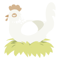 A white chicken with a neck-speckle pattern