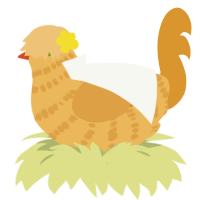 Witch Hazel, a honey and orange chicken with a bar pattern