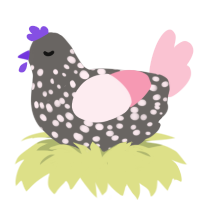 A grey and rose chicken with a speckle pattern