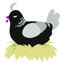 A black and silver chicken with a neck-band pattern