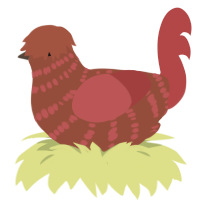 A russet and red chicken with a bar pattern