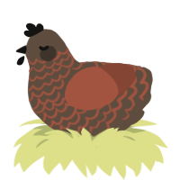 A bark and russet chicken with a lace pattern