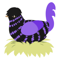 A sable and blurple chicken with a bar pattern