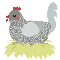 A ash and silver chicken with a double-lace pattern