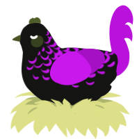 A black and amethyst chicken with a half-lace pattern