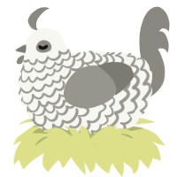 A white and ash chicken with a lace pattern