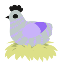 lyla, a silver and lilac chicken with a bar pattern