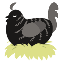A sable and grey chicken with a half-bar pattern