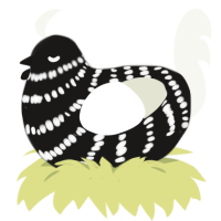 A sable and white chicken with a bar pattern