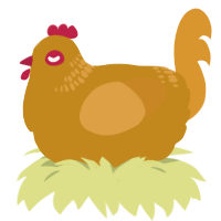 A ochre and orange chicken with a neck-band pattern