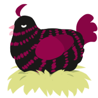 A sable and maroon chicken with a bar pattern