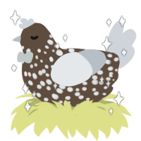 A bark and mist chicken with a speckle pattern
