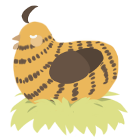A honey and bark chicken with a bar pattern