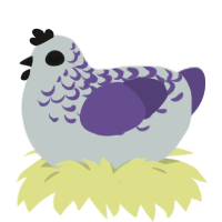 A silver and overcast chicken with a half-lace pattern