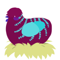 A wine and aqua chicken with a half-bar pattern