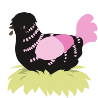 A sable and pink chicken with a half-bar pattern