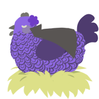 Olive Specter, a lilac and overcast chicken with a double-lace pattern