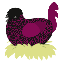 A black and wine chicken with a double-lace pattern