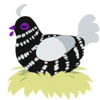 A black and mist chicken with a bar pattern