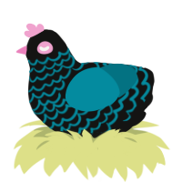 A black and sea chicken with a lace pattern