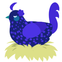 Yue Xin 玥馨, a navy and indigo chicken with a speckle pattern