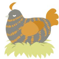 A ash and orange chicken with a bar pattern