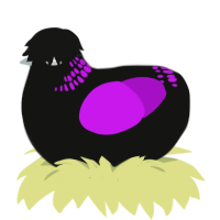 A black and amethyst chicken with a neck-band pattern