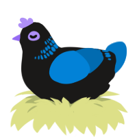 A sable and sapphire chicken with a neck-band pattern
