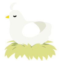 A white chicken