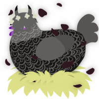 A sable and grey chicken with a double-lace pattern