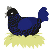 Dark sky, a sable and navy chicken with a lace pattern
