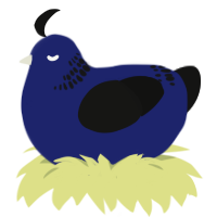 A navy and black chicken with a neck-band pattern