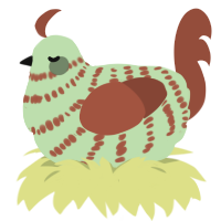 A gluppy and russet chicken with a bar pattern